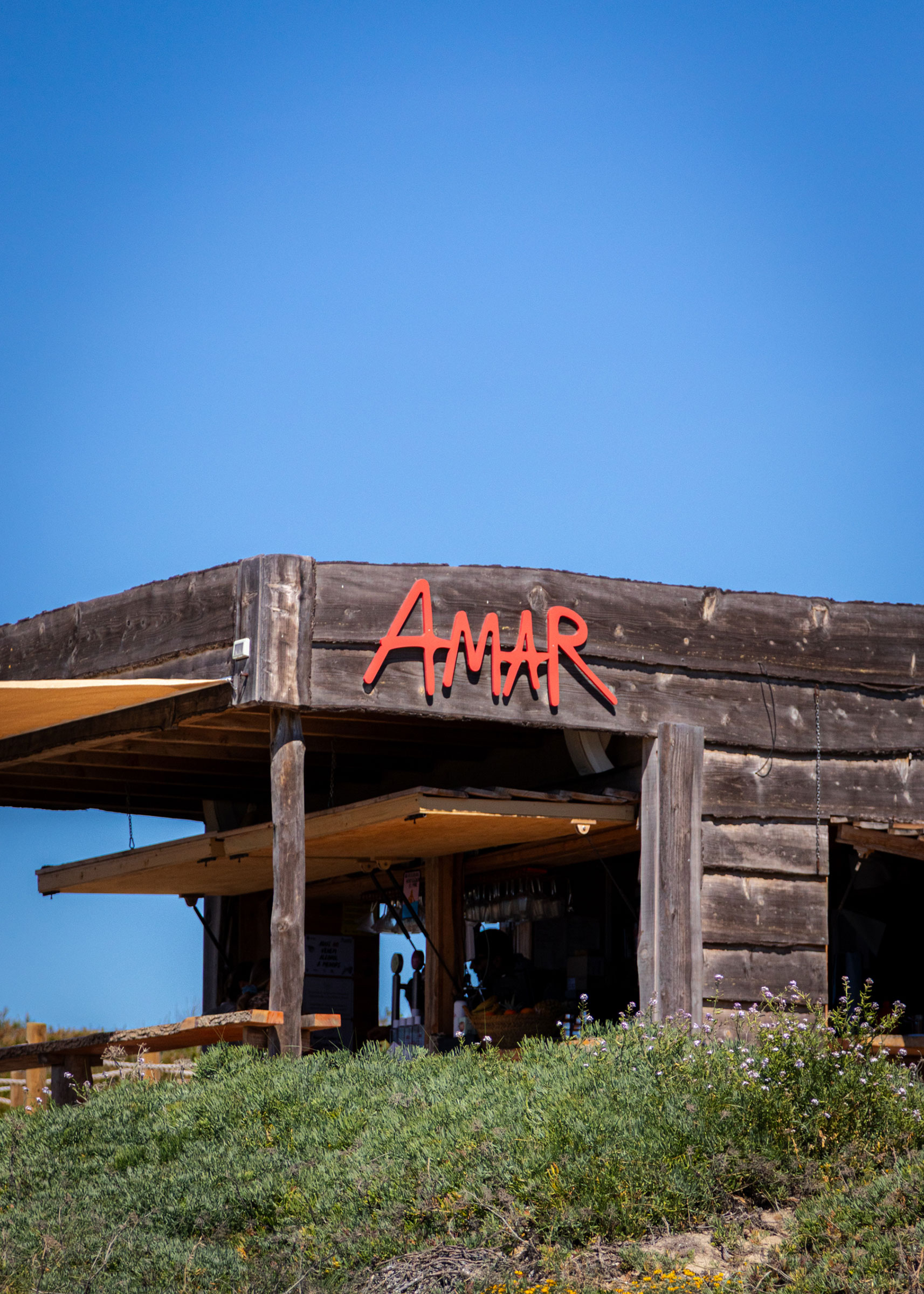 AMAR Gallery